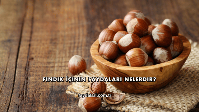 Fındık İçinin Faydaları Nelerdir?