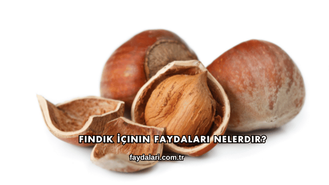 Fındık İçinin Faydaları Nelerdir?