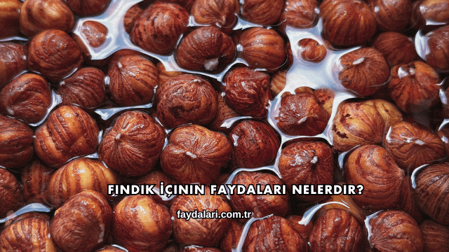 Fındık İçinin Faydaları Nelerdir?