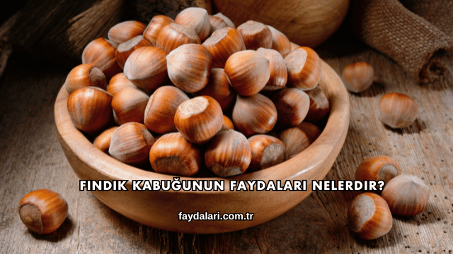 Fındık Kabuğunun Faydaları Nelerdir?