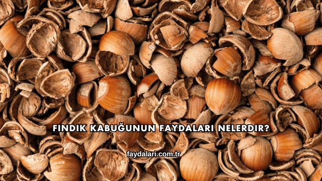 Fındık Kabuğunun Faydaları Nelerdir?