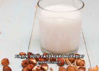 Fındık Sütü Faydaları Nelerdir?
