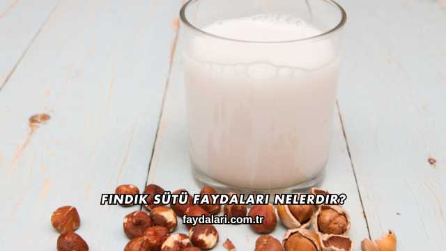 Fındık Sütü Faydaları Nelerdir?