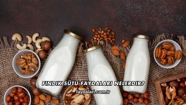 Fındık Sütü Faydaları Nelerdir?