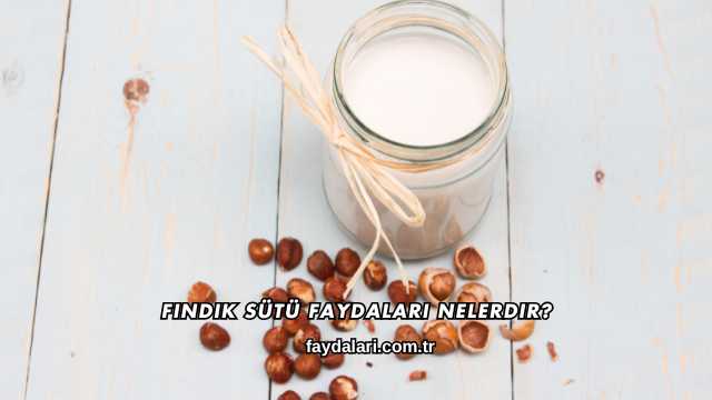 Fındık Sütü Faydaları Nelerdir?