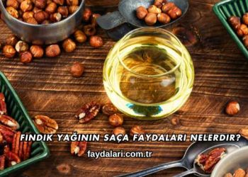 Fındık Yağının Saça Faydaları Nelerdir?