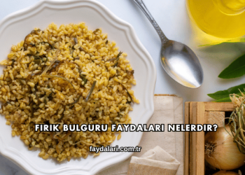 Firik Bulguru Faydaları Nelerdir?