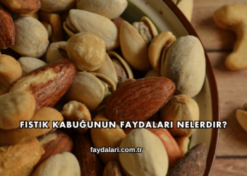Fıstık Kabuğunun Faydaları Nelerdir?