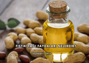Fıstık Yağı Faydaları Nelerdir?