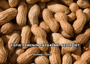 Fıstık Yemenin Faydaları Nelerdir?