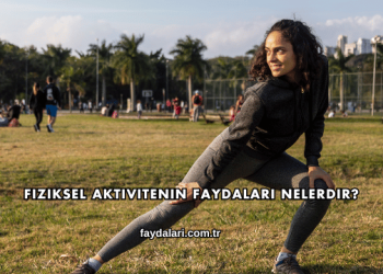 Fiziksel Aktivitenin Faydaları Nelerdir?