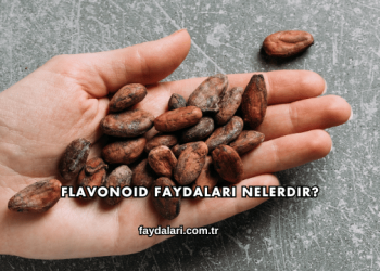 Flavonoid Faydaları Nelerdir?