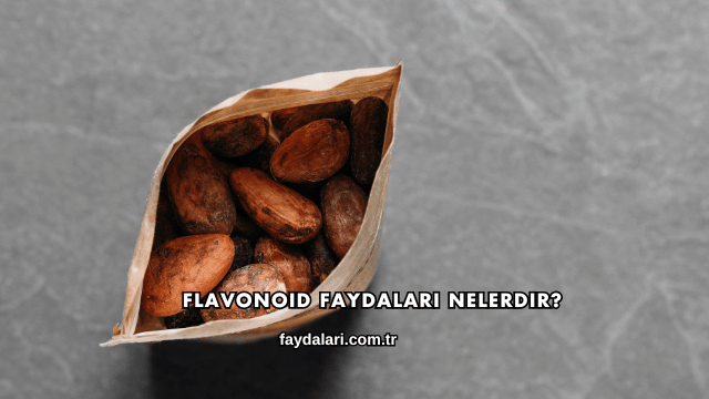 Flavonoid Faydaları Nelerdir?