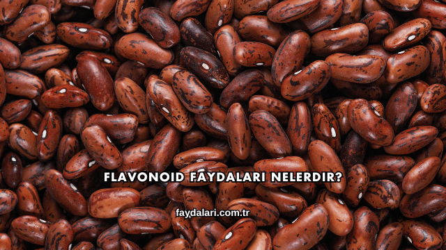 Flavonoid Faydaları Nelerdir?