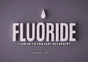 Florür Faydaları Nelerdir?