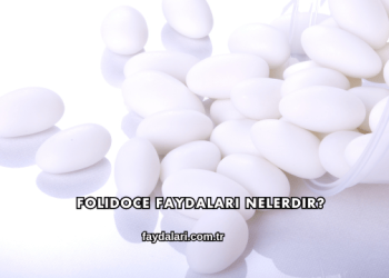 Folidoce Faydaları Nelerdir?