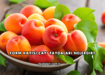 Form Kayısı Çayı Faydaları Nelerdir?
