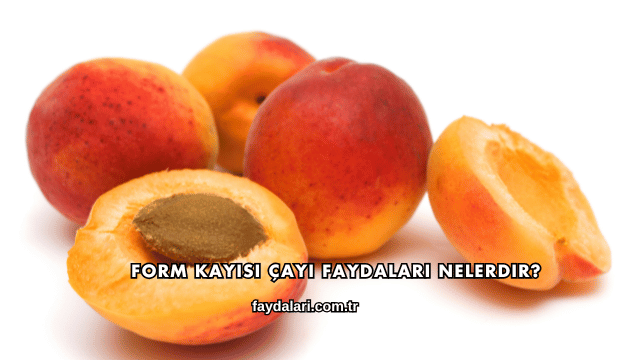 Form Kayısı Çayı Faydaları Nelerdir?