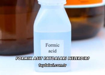 Formik Asit Faydaları Nelerdir?