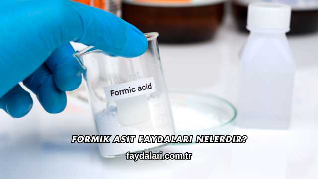 Formik Asit Faydaları Nelerdir?