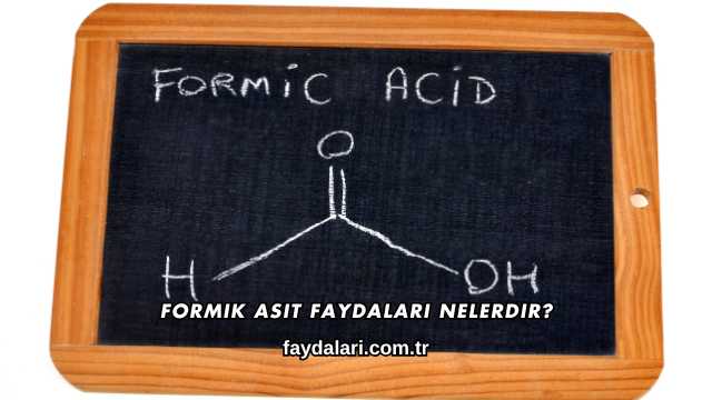 Formik Asit Faydaları Nelerdir?
