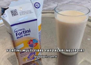 Fortini Multi Fibre Faydaları Nelerdir?