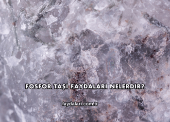 Fosfor Taşı Faydaları Nelerdir?