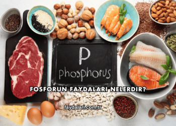 Fosforun Faydaları Nelerdir?