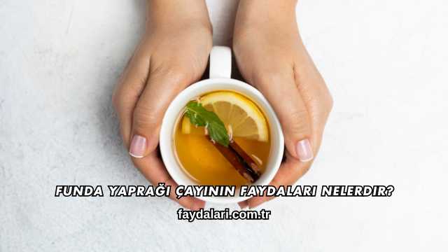 Funda Yaprağı Çayının Faydaları Nelerdir?