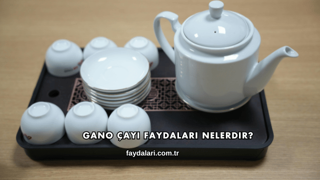 Gano Çayı Faydaları Nelerdir?