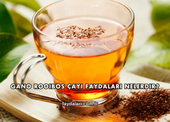 Gano Rooibos Çayı Faydaları Nelerdir?