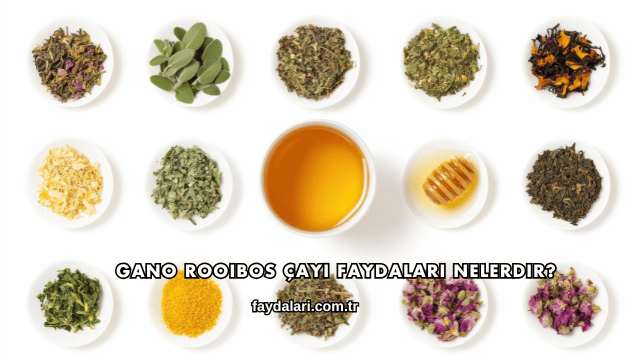 Gano Rooibos Çayı Faydaları Nelerdir?