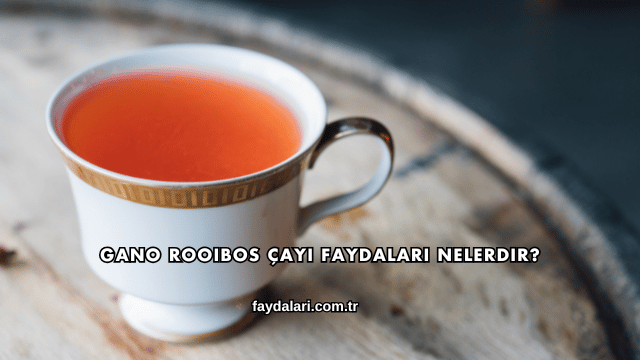Gano Rooibos Çayı Faydaları Nelerdir?
