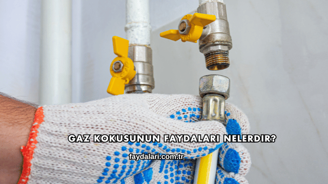 Gaz Kokusunun Faydaları Nelerdir?