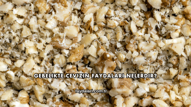 Gebelikte Cevizin Faydaları Nelerdir?
