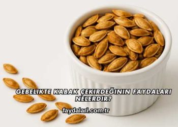 Gebelikte Kabak Çekirdeğinin Faydaları Nelerdir?