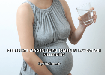 Gebelikte Maden Suyu İçmenin Faydaları Nelerdir?