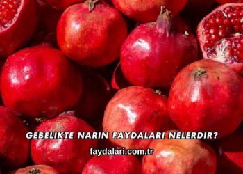 Gebelikte Narın Faydaları Nelerdir?