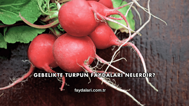 Gebelikte Turpun Faydaları Nelerdir?