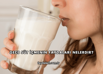 Gece Süt İçmenin Faydaları Nelerdir?