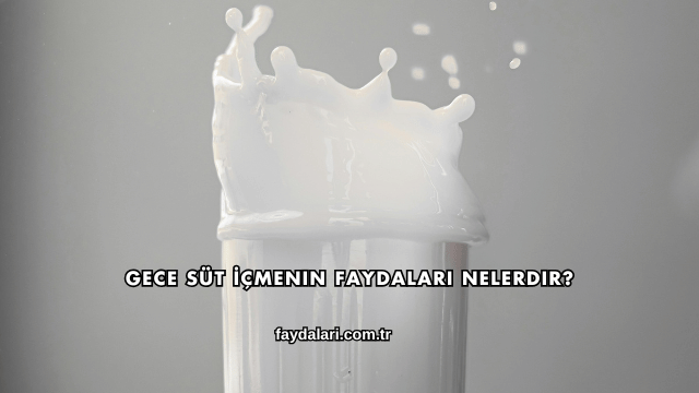 Gece Süt İçmenin Faydaları Nelerdir?