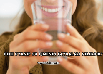 Gece Uyanıp Su İçmenin Faydaları Nelerdir?