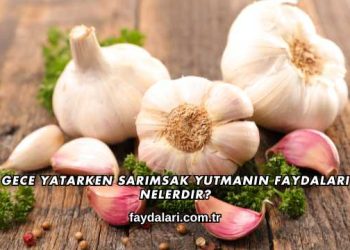 Gece Yatarken Sarımsak Yutmanın Faydaları Nelerdir?