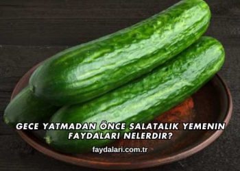 Gece Yatmadan Önce Salatalık Yemenin Faydaları Nelerdir?