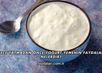 Gece Yatmadan Önce Yoğurt Yemenin Faydaları Nelerdir?