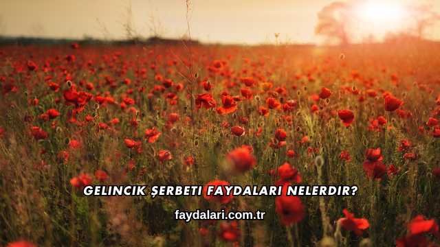 Gelincik Şerbeti Faydaları Nelerdir?