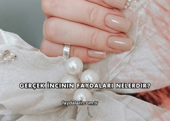 Gerçek İncinin Faydaları Nelerdir?