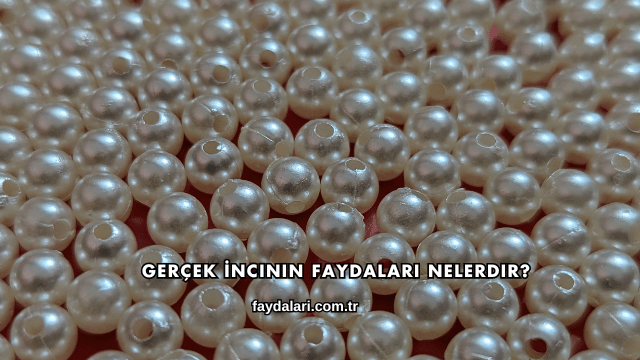 Gerçek İncinin Faydaları Nelerdir?