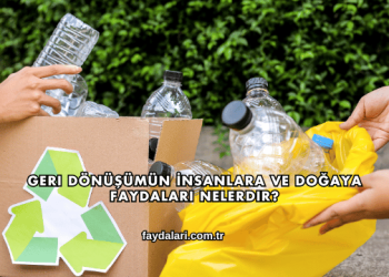 Geri Dönüşümün İnsanlara ve Doğaya Faydaları Nelerdir?