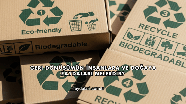 Geri Dönüşümün İnsanlara ve Doğaya Faydaları Nelerdir?